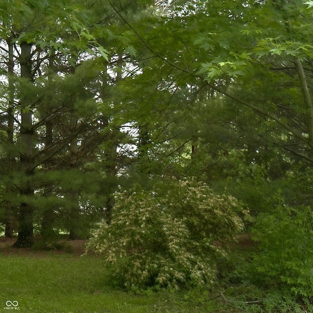3559 S County Road 475 E, Plainfield, IN 46168 - view of nature