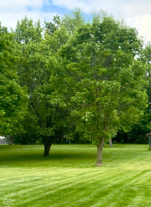 3559 S County Road 475 E, Plainfield, IN 46168 - view of property's community featuring a lawn