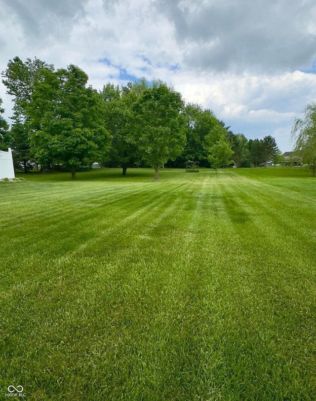 3559 S County Road 475 E, Plainfield, IN 46168 - view of green lawn