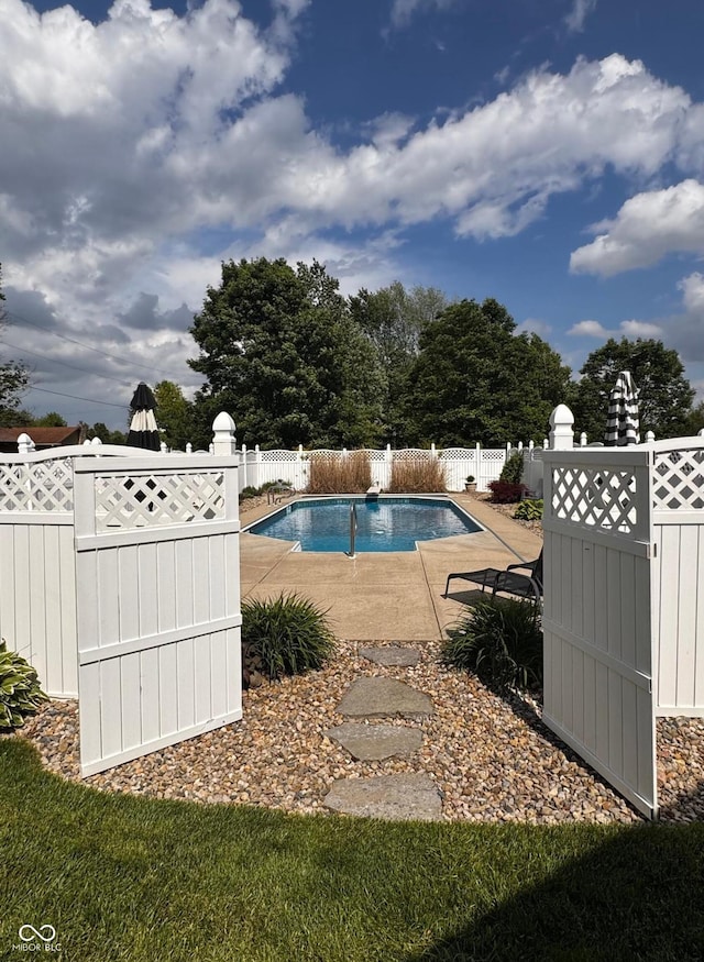 3559 S County Road 475 E, Plainfield, IN 46168 - view of pool with a fenced backyard and a patio