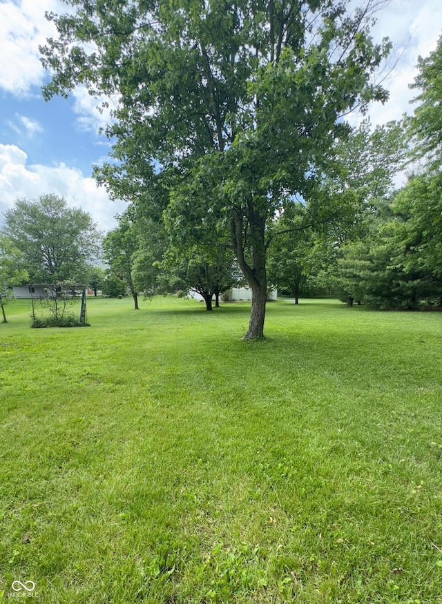 3559 S County Road 475 E, Plainfield, IN 46168 - view of grassy yard