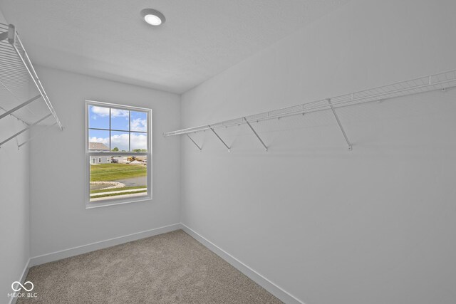 7323 Waylon Way, Indianapolis, IN 46239 - photo 12