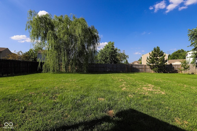 3059 Black Forest Ln, Indianapolis, IN 46239 - photo 11