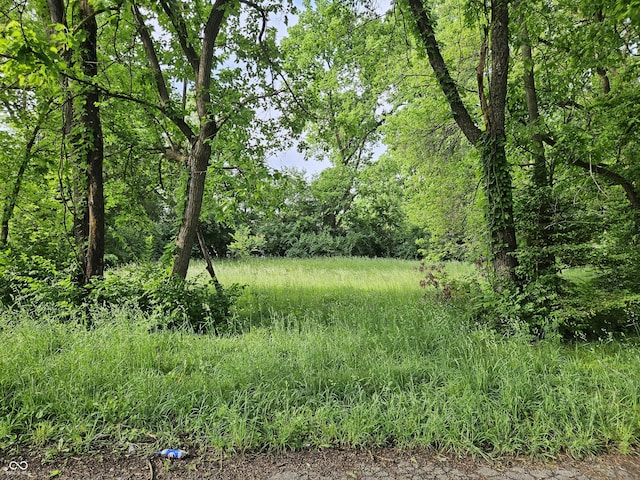 4456 Caroline Ave, Indianapolis, IN 46205 - photo 1