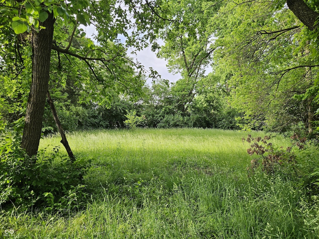 4456 Caroline Ave, Indianapolis, IN 46205 - photo 2