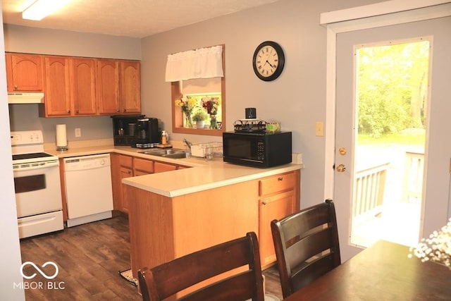 7 Gladiator Dr, Waynetown, IN 47990 - kitchen featuring white appliances, under cabinet range hood, a peninsula, a sink, and light countertops