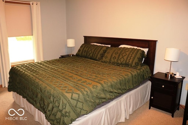 7 Gladiator Dr, Waynetown, IN 47990 - view of carpeted bedroom