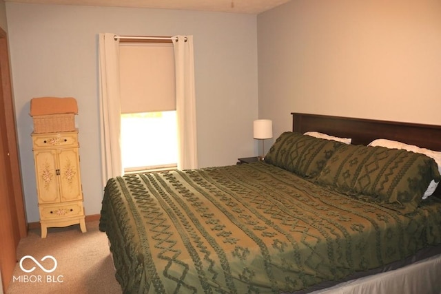 7 Gladiator Dr, Waynetown, IN 47990 - carpeted bedroom with baseboards