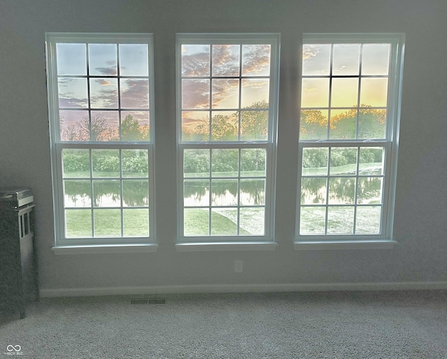 3948 Saddle Club S Parkway, Bargersville, IN 46106 - detailed view of baseboards and a water view