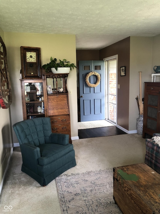 21749 Oak Ridge Rd, Sheridan, IN 46069 - living room featuring carpet floors, baseboards, and a textured ceiling