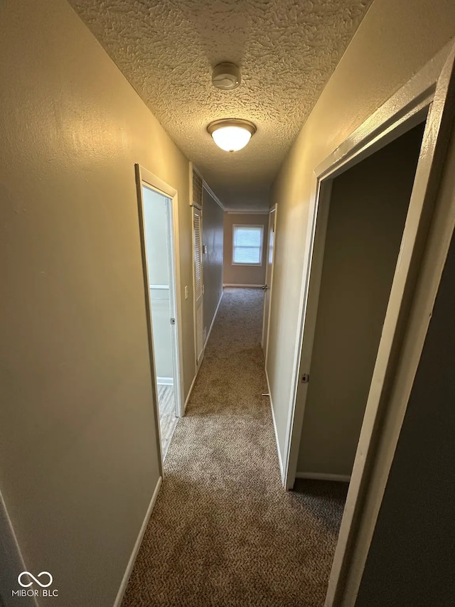 3742 N Wittfield St, Indianapolis, IN 46235 - hallway featuring carpet floors, a textured ceiling, and baseboards