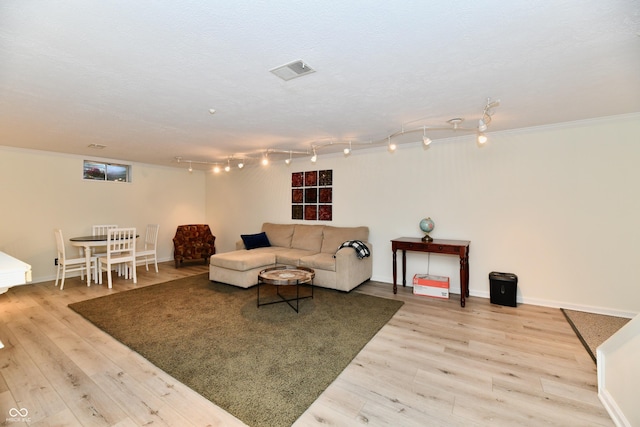 1310 Kings Cove Ct, Indianapolis, IN 46260 - living area featuring light wood-type flooring, crown molding, baseboards, and track lighting
