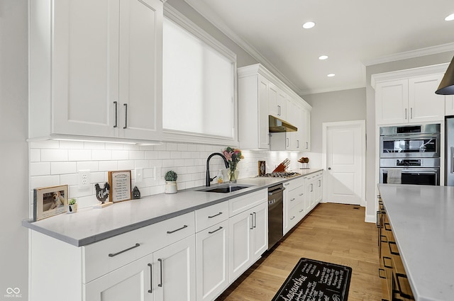 20010 Prescott Pl, Westfield, IN 46074 - kitchen with a sink, stainless steel appliances, under cabinet range hood, crown molding, and white cabinets