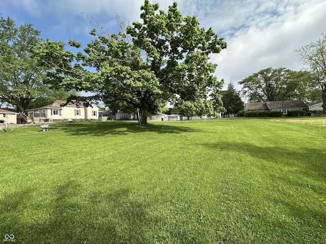 view of green lawn