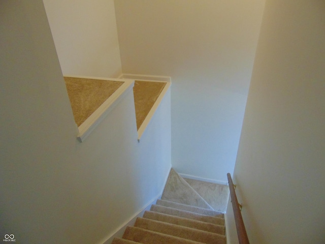 stairway with carpet floors