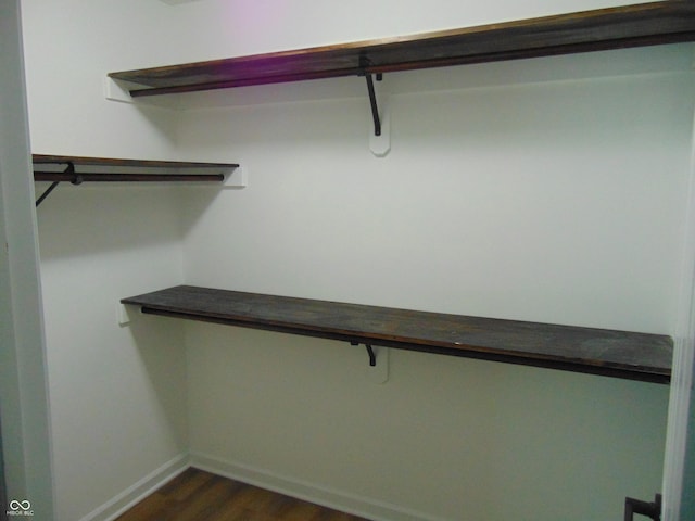 spacious closet featuring dark wood-style flooring