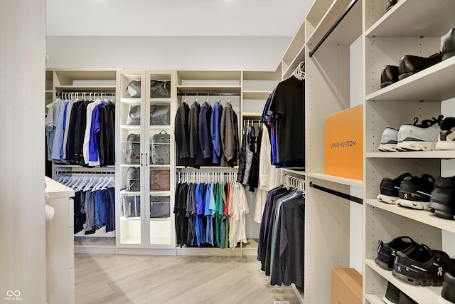 7116 Trail Ridge Ln, Indianapolis, IN 46259 - spacious closet featuring wood finished floors