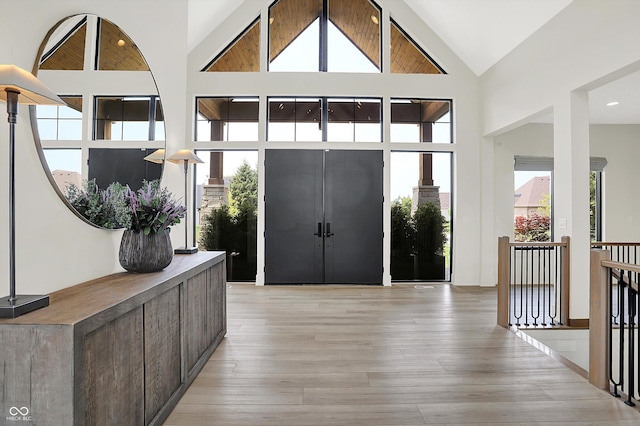 7116 Trail Ridge Ln, Indianapolis, IN 46259 - foyer featuring high vaulted ceiling and light wood finished floors