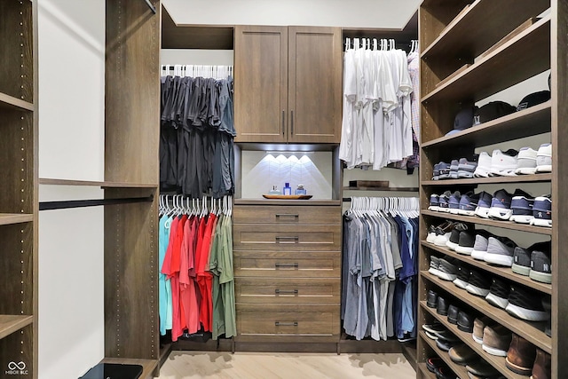 7116 Trail Ridge Ln, Indianapolis, IN 46259 - spacious closet featuring wood finished floors
