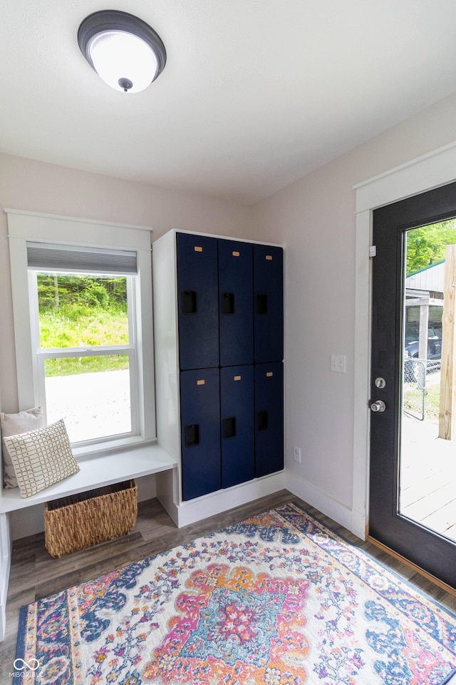 2935 N Grizzly Ln, Martinsville, IN 46151 - entryway featuring plenty of natural light, wood finished floors, and baseboards