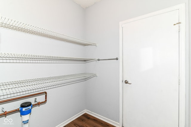 12612 Majestic Way, Fishers, IN 46037 - walk in closet with dark wood-style flooring