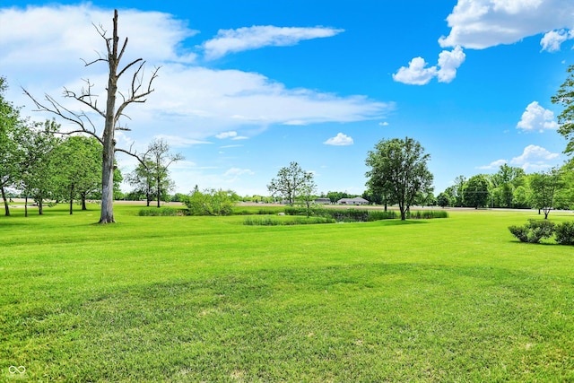 893 W 500 S, Anderson, IN 46013 - view of green lawn
