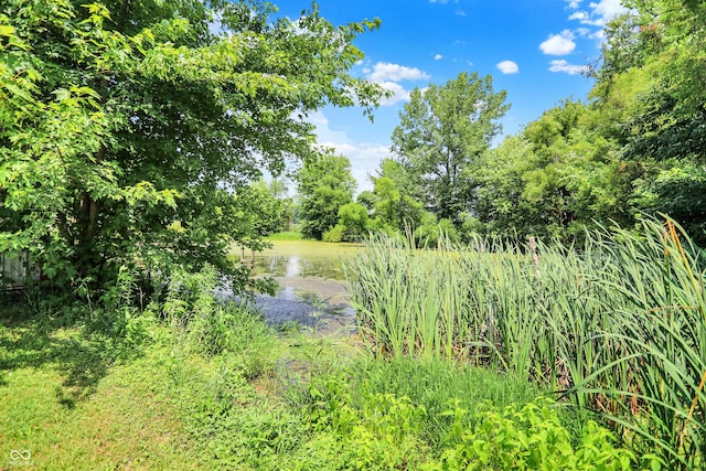 8853 S County Road 825 E, Cloverdale, IN 46120 - view of nature with a nearby body of water