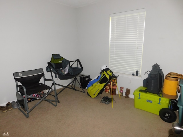 1612 Prairieview Ln, Greenfield, IN 46140 - game room featuring carpet flooring