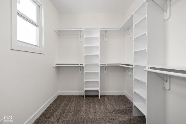 2024 Yandes St, Indianapolis, IN 46202 - spacious closet with carpet floors