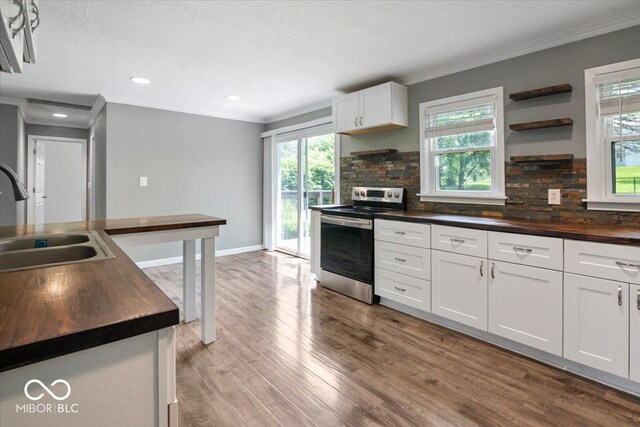 953 W Clinton St, Danville, IN 46122 - kitchen featuring electric stove, wooden counters, a sink, ornamental molding, and decorative backsplash