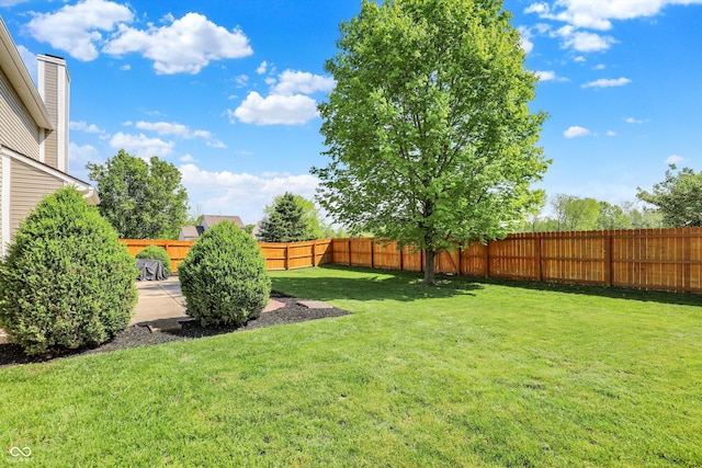 5041 Millwright Ct, Indianapolis, IN 46254 - view of yard featuring a patio area