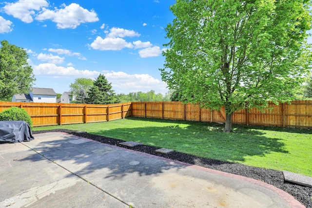 5041 Millwright Ct, Indianapolis, IN 46254 - view of yard featuring a patio area