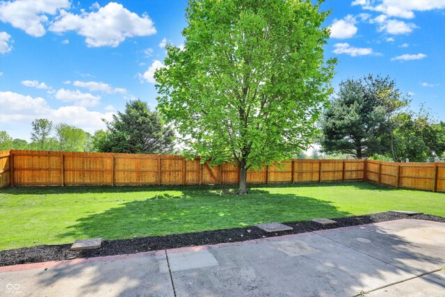 5041 Millwright Ct, Indianapolis, IN 46254 - view of yard with a patio area