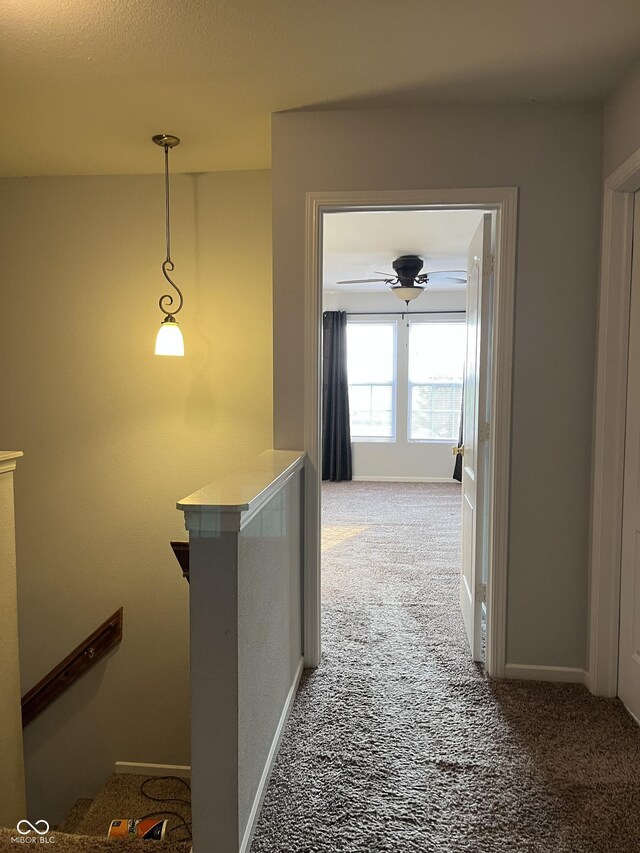 3292 Underwood Dr, Whiteland, IN 46184 - photo 55