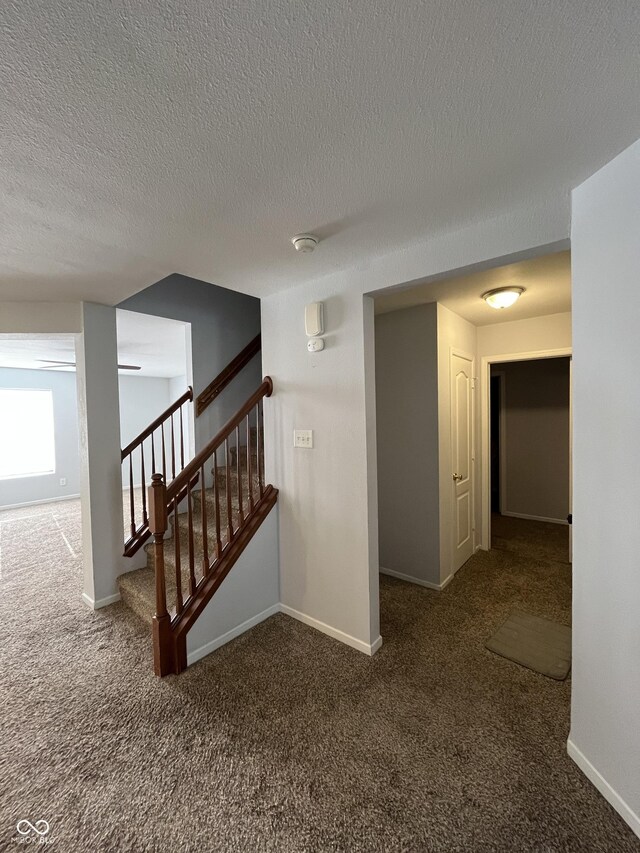 3292 Underwood Dr, Whiteland, IN 46184 - photo 20