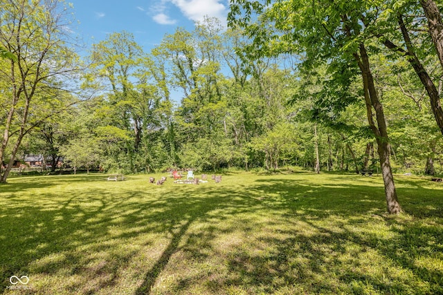 8330 Claridge Rd, Indianapolis, IN 46260 - view of grassy yard