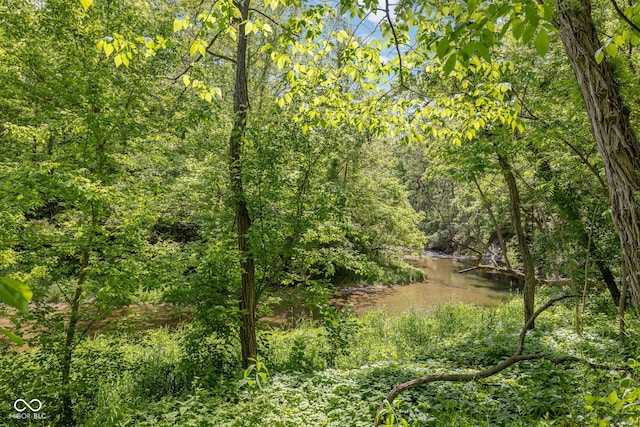 8330 Claridge Rd, Indianapolis, IN 46260 - view of woods