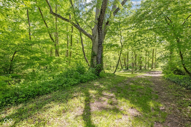 8330 Claridge Rd, Indianapolis, IN 46260 - view of tree filled area