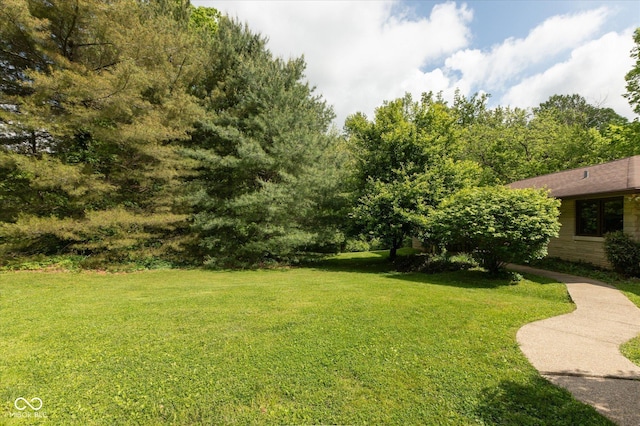 view of grassy yard
