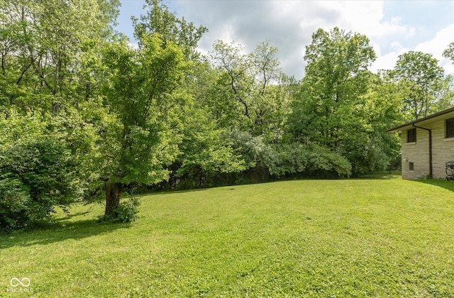 view of grassy yard