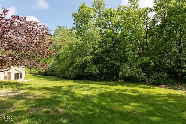 view of grassy yard
