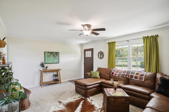 living area with crown molding, ceiling fan, carpet flooring, and baseboards