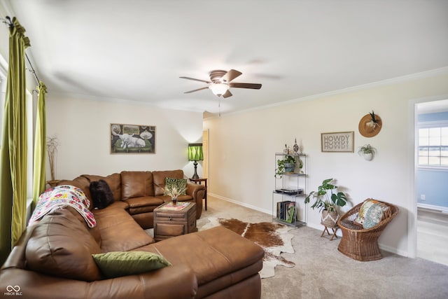 carpeted living room featuring a ceiling fan, crown molding, and baseboards