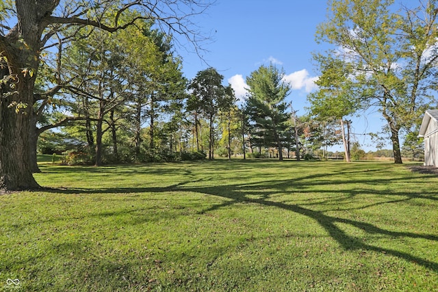 view of grassy yard