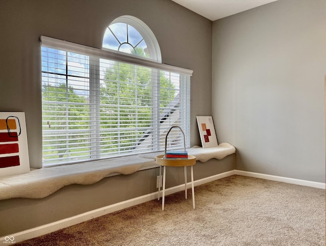 sitting room with carpet flooring and baseboards