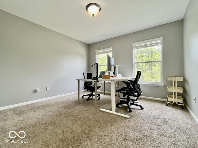 office space with baseboards and carpet