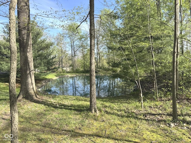 1340 Apache Trl, Martinsville, IN 46151 - water view featuring a heavily wooded area