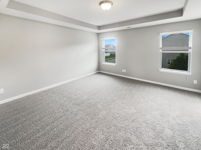 18230 Sandy Cove Ln, Westfield, IN 46074 - unfurnished room with a raised ceiling, baseboards, and carpet floors