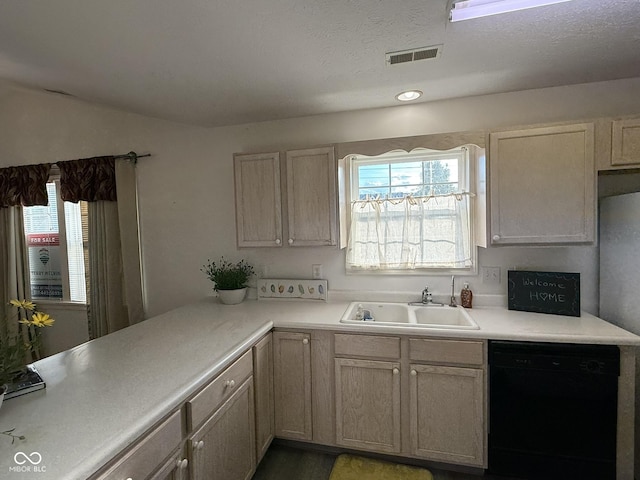 11523 Coastal Way, Indianapolis, IN 46229 - kitchen featuring dishwasher, a sink, and light countertops