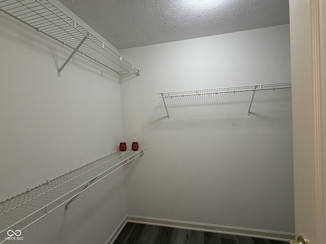 11523 Coastal Way, Indianapolis, IN 46229 - walk in closet with dark wood-style flooring